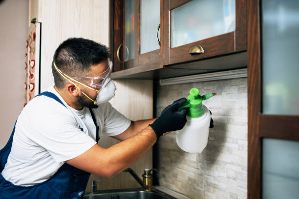 Professional Pest Control in Wilkshire Hills, OH