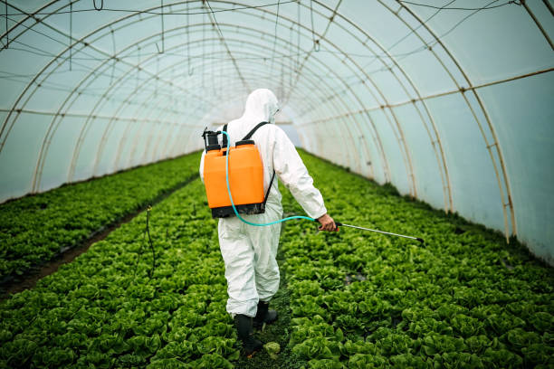 Best Affordable Pest Control Services  in Wilkshire Hills, OH
