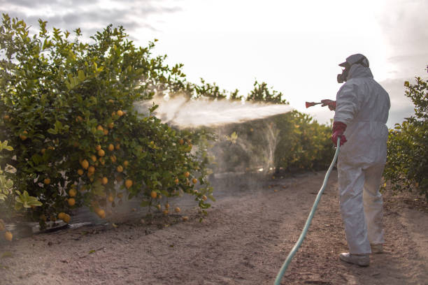 Best Exterminator Services  in Wilkshire Hills, OH