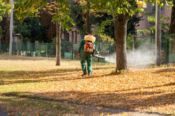 Best Mosquito Control Services  in Wilkshire Hills, OH