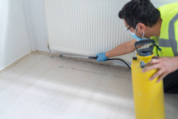 Best Affordable Pest Control Services  in Wilkshire Hills, OH